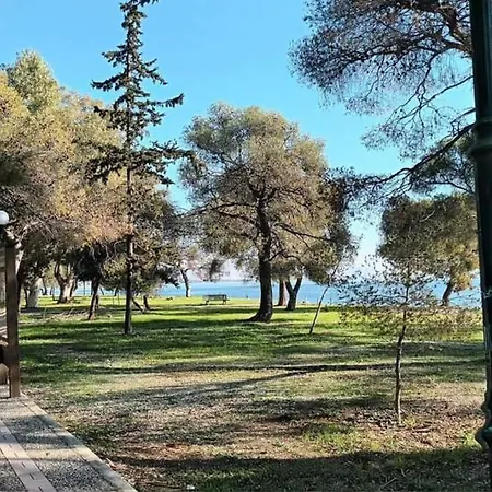 Doll House Next To The Sea
