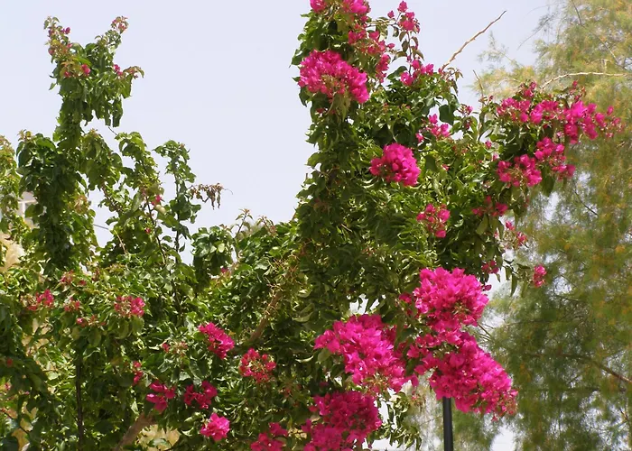 Doll House Next To The Sea * Agioi Theodoroi (Corinthia)